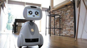 buddy智能机器人,智能机器人价格,机器人上演租赁